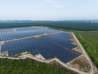 Aerial view of huge solar farm surrounded by palm oil plantation. Green renewable energy resources. Future of sustainable energy generation. Zero pollution concept.