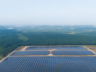 Aerial view of huge solar farm surrounded by palm oil plantation. Green renewable energy resources. Future of sustainable energy generation. Zero pollution concept.