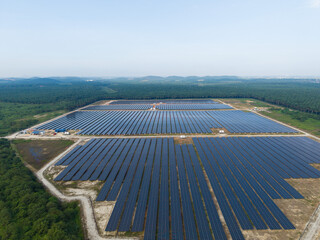 Aerial view of huge solar farm surrounded by palm oil plantation. Green renewable energy resources. Future of sustainable energy generation. Zero pollution concept.