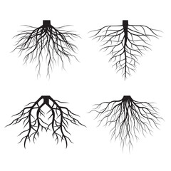 Set Black Tree Roots. Vector outline Illustration. Plant in Garden.