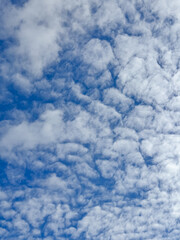 Obraz premium Scattered Cumulus Clouds over Bright Blue Sky