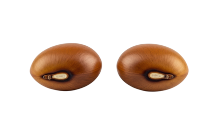 Two brown kidney beans with dark hilum on black background macro oval seed, Isolated On Png Transparent Background