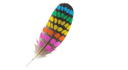 Single bird feather with colorful polka dot pattern against black background object isolated, Isolated On Png Transparent Background
