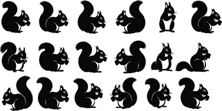 Cute squirrel silhouette set in multiple poses isolated on white background, playful woodland animal illustration for design and decoration
