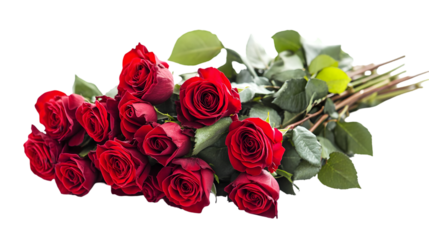 Beautiful bouquet of deep red roses with lush green leaves on a stark for romance