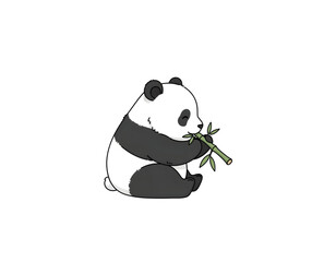 Adorable panda bear sitting and eating bamboo stalk on a white background, simple and cute illustration