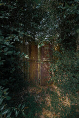 Enigmatic rusted metal gate veiled by lush green foliage in a mysterious forest setting