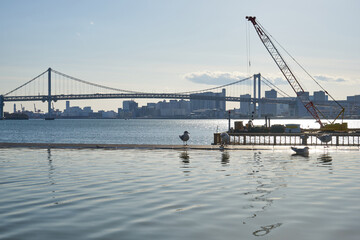 東京都　晴海客船ターミナルからのレインボーブリッジの眺め