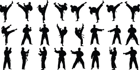 Martial arts fighter silhouettes set showing karate and taekwondo kicks, punches and combat poses isolated on white background illustration © Yeasrin