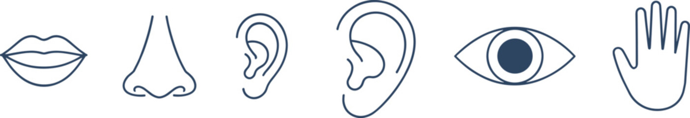 Stylized Icons Representing Human Senses: Sight, Hearing, Smell, Taste, Touch, and Speech on White Background for Educational or Medical Use