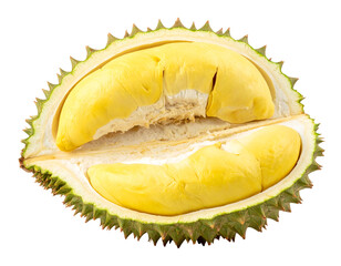 Fototapeta premium Durian Fruit Cut Open Exotic Tropical Food King of Fruits.