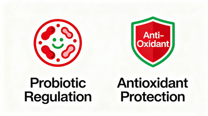 Probiotics regulate antioxidant and protective elements, representing the health concept of regulating probiotics and antioxidant protection, suitable for health maintenance promotional materials.
