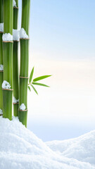 Snowy Bamboo Forest Background　Minimal Japanese Winter Nature Background with Copy Space