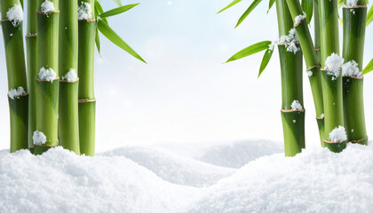 Snowy Bamboo Forest Background　Minimal Japanese Winter Nature Background with Copy Space