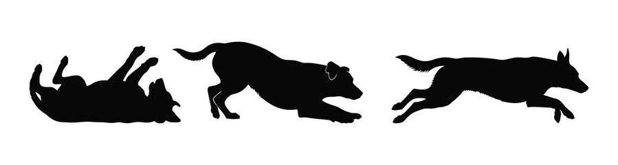 Playful dog in motion a dynamic silhouette sequence depicting rolling, crouching, and energetic running