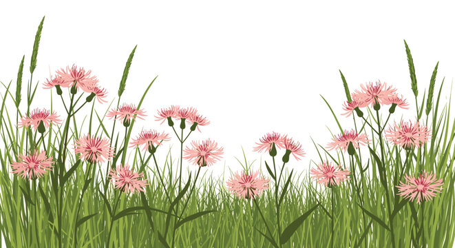 Delicate pink wildflowers bloom in lush green grass, creating a vibrant natural border against a clean white background.