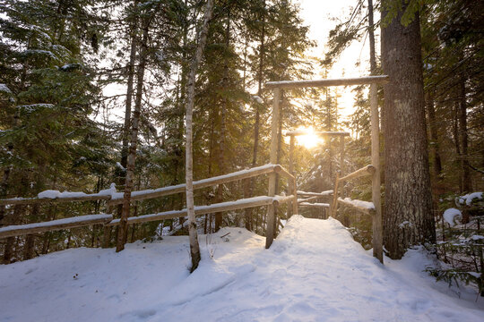 winter trail in the park