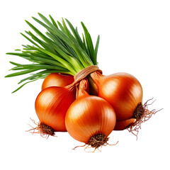 Freshly harvested onions with green tops