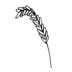 Obraz premium Hand drawn cereal wheat oat rye barley rice ears spikelet clipart Organic wheat bread agriculture farming harvest healthy food Single element for print packaging label design decor