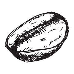 Hand drawn fresh roasted coffee bean Arabica robusta seed doodle Single element for print, web, design, decor