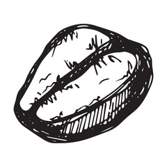 Hand drawn fresh roasted coffee bean Arabica robusta seed doodle Single element for print, web, design, decor