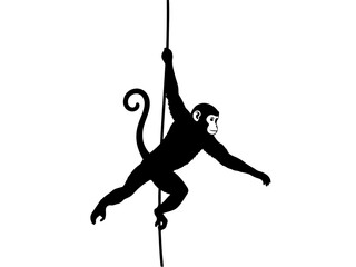 A black silhouette of a monkey hanging from a vertical pole with its arms and legs. © Purnomo