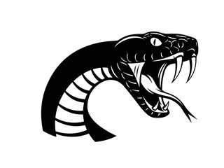 Black and white illustration of a snake head with open mouth, showing fangs and a forked tongue, in a striking and aggressive pose.