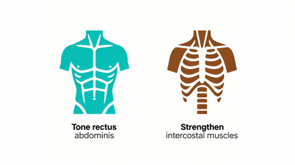 Shaping the abdomen and strengthening the intercostal muscles, enhancing the fitness function of the abdominal muscles and strengthening the intercostal muscles, fitness equipment category.

