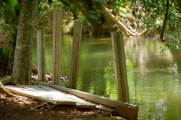 Dilapidated Wooden Structure by a Shaded Green Forest River