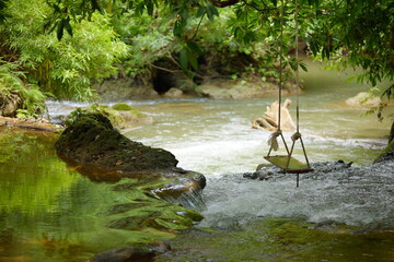 Rope Swing Hanging Over Clear Tropical Stream in Lush Forest