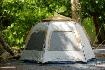 Family Camping Tent Set Up in a Shaded Forest Campsite