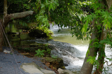 Small Waterfall Cascade in Lush Tropical Forest with Gravel Bank