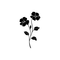 Black and white floral vector illustration with elegant flower and leaves design