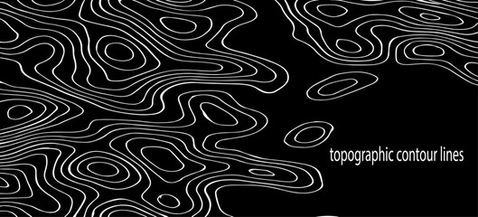 Abstract Topographic Map Contour Lines Vector Illustration Design Featuring Flowing Terrain Patterns, Elevation Curves, and Minimal Geographic Line Art.