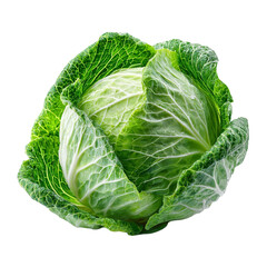 Healthy Vegetable Cabbage Isolated on Transparent Background