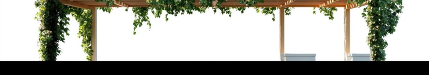 Green ivy-covered pergola with wooden beams creating shade and natural ambiance