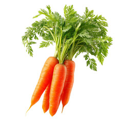 Healthy Vegetable Carrot with Leafy Tops Isolated on Transparent Background