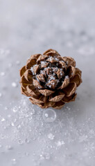 Pine cone on marble surface with water droplets and sparkles  