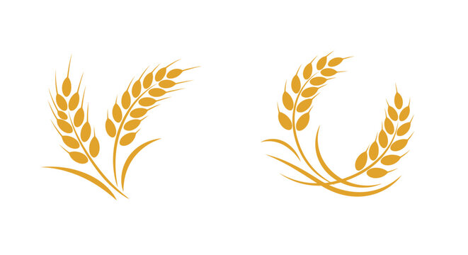 Two stylized golden wheat ear illustrations on a white background, representing agriculture and harvest.