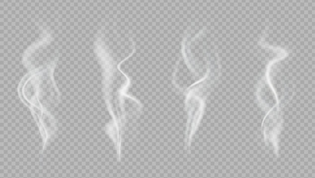 Realistic steam or smoke on hot tea, coffee, food. PNG Stock royalty free