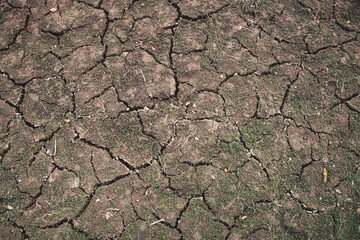 The background of cracked soil highlights the destructive force of drought and the fragile state of the environment.