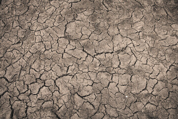 Cracked soil and barren land dominate the scene, symbolizing the devastating impact of drought on ecosystems.