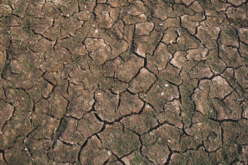 Landscape of parched ground and deep cracks exposes the devastating reality of drought and environmental distress.