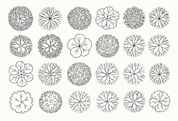Architectural Tree Plan Set - Top View Drawing Icons for Landscape Design and Floor Plan © Shahnaz