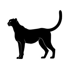 Black silhouette of a standing cat with tail raised