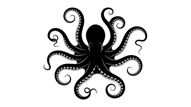 Intricate black octopus illustration with curled tentacles on a white background