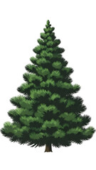 Fototapeta premium Illustration of a pine tree with a natural triangular shape