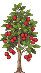 Obraz premium Illustration of a rambutan tree with hairy red fruit