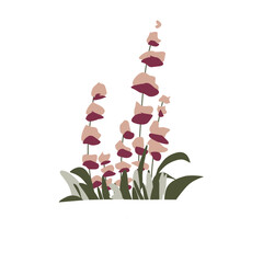 vector illustration of a flower