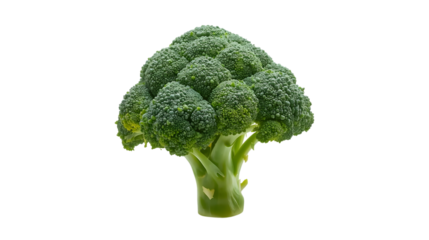 Broccoli set against a transparent background, perfect for healthy eating blogs, recipe cards, or dietary articles. Versatile and eyecatching.